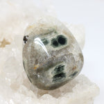 Wechselschließe Ozeanjaspis