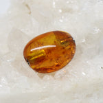 Wechselschließe Bernstein