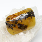 Wechselschließe Bernstein