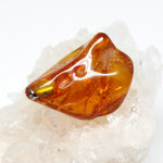 Wechselschließe Bernstein