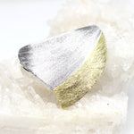 Wechselschließe zweifarbig mattiert