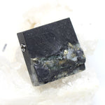 Wechselschließe Schiefer Pyrit