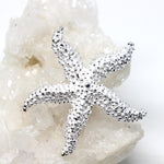 Wechselschließe Seestern Silber