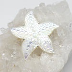 Wechselschließe Seestern aus Perlmutt