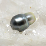 Wechselschließe Tahitiperle Angebot