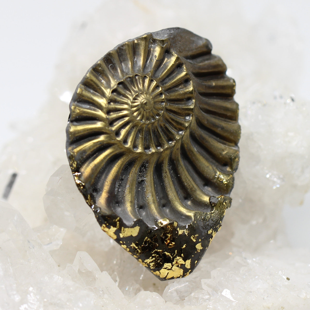 Wechselschließe Ammonit mit Blattgold