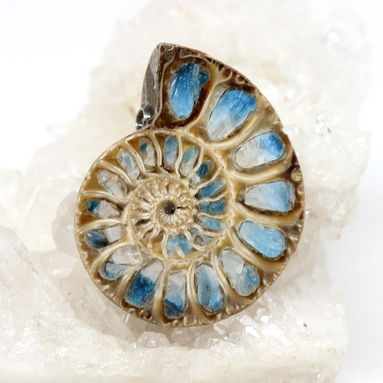 Wechselschließe Ammonit mit Ice Blue