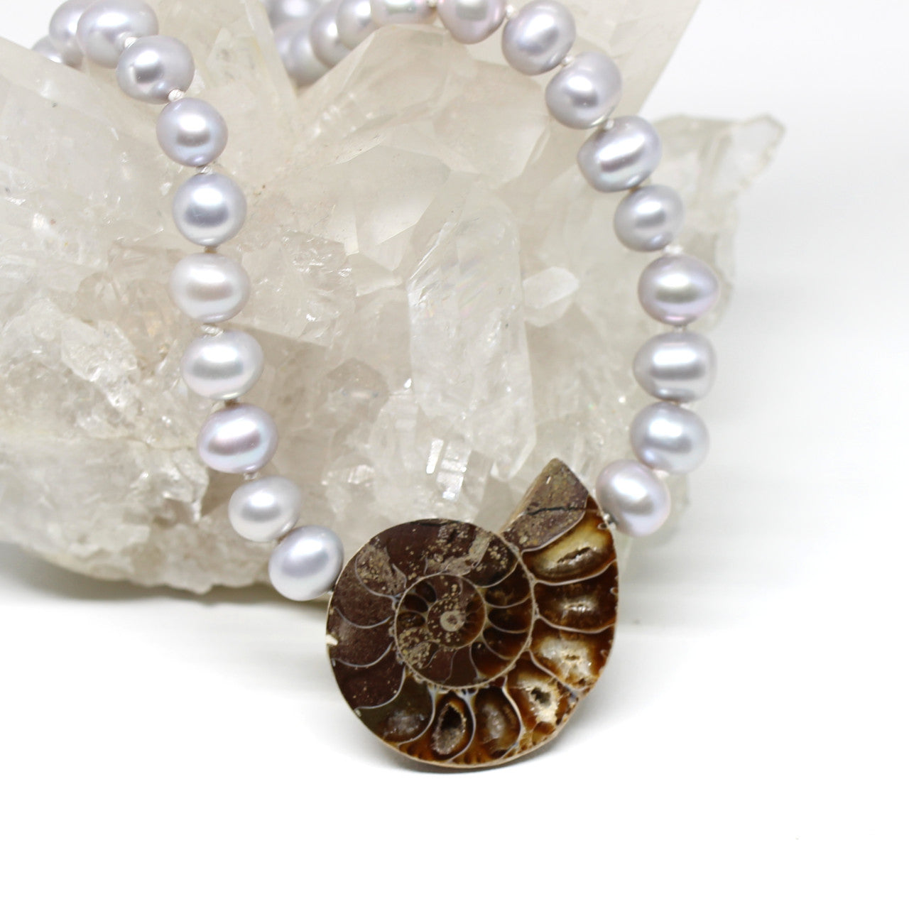 Wechselschließe Ammonit