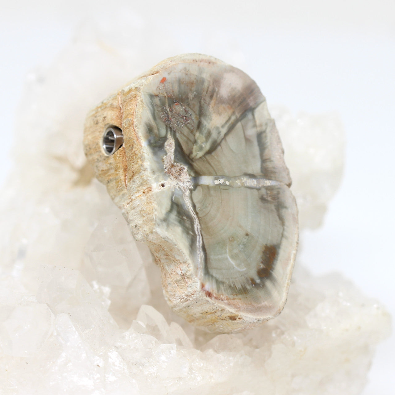 Wechselschließe versteinertes Holz